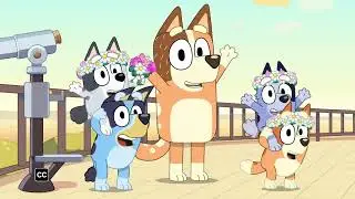 Biggest Ever Bluey! | Tomorrow Shorts | The Archive Heeler
