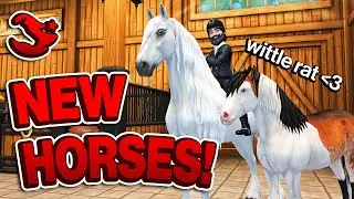 Star Stable - Buying The New Horse Coat Variations! 🐴