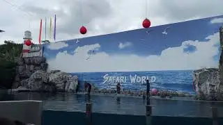 Dolphin Show in Safari-world | Bangkok | Thailand #dolphin #safariworldbangkok #thailand  #fun