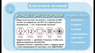 12 причин развития болезней