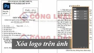 Hướng dẫn xóa logo trên ảnh bằng kênh màu trong pts