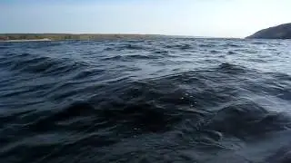 Моркваши 2015-09-22 9-32