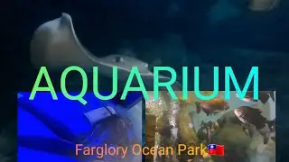 AQUARIUM - FARGLORY OCEAN PARK 🇹🇼
