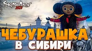 Чебурашка в Сибири. Snow Dogs 2023. Тобольские камеры заключения