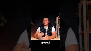 Помогу построить правильную баню. 89068208260 Шабанов Олег. #баняподключ #стройка