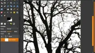 Tutorial Gimp - Selecionando imagens com muitos detalhes