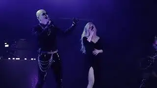 Dark - Nyctophilia  (Live Cold Hearted Festival 2025)