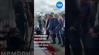 video 6591209 12129923