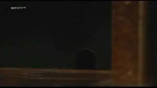 Death of Rats