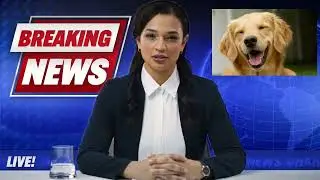 Poop Report