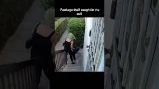 Package thief caught in the act!