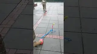 Barely Launch