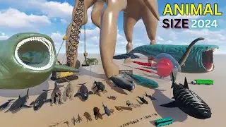 Animal SIZE Comparison 3D 2024 🐯 🦁
