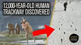12,000-Year-Old Ancient Human Trackway Discovered in North America | Ancient Architects