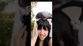 Palomo ataca chica en vivo.