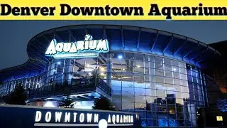 आइये आपको दिखाते हैं अमेरिका का एक्वेरियम 🇺🇲|| Denver Downtown  Aquarium  || #denverdowntownaquarium