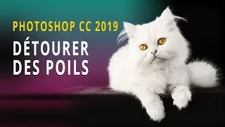 Détourage complexe Photoshop CC [Adobe Photoshop Tutoriel]