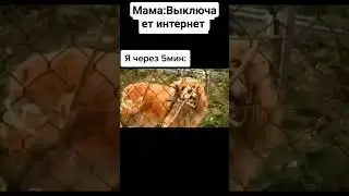 Рил:) #subscribe#shortsvideo#meme#