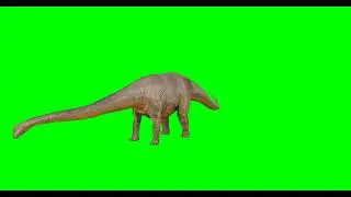 Green Screen Video | Dinosaur Prehistoric (HD) Chroma Key
