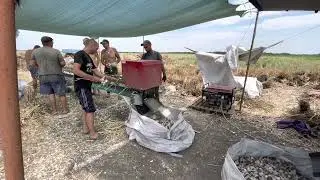 Обрезчик чеснока МОЧ-5