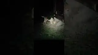 Вьюга! Копаем подвал!
