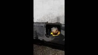 замена замка зажигания Ивеко Дели 1994г.
