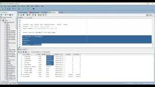 SQL support Job Roles and responsibilities