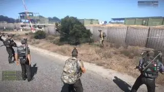 The Bush