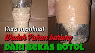 Cara membuat wadah pakan burung dari bekas botol