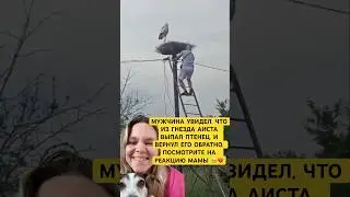 Они умеют быть благодарными?💔