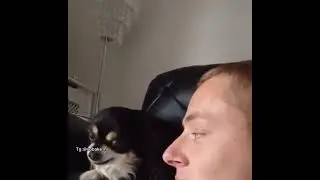 Любовные игры⁠⁠ 😆