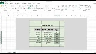 Calculate Age Using a Date of Birth in Excel [sL No 01]