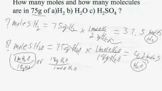 Mole Conversion