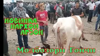 Молбозори Деваштич Хужанд  новинка нархои арзон 12 07 2020  (ФАРИДУН УРУШБОЕВ).
