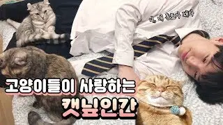(ENG sub) A human whom cats love very much! (heart melted) [Benny Family]