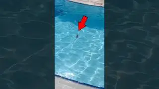 Зачем так делать?😳