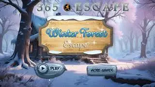 Winter Forest Escape