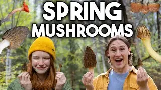Foraging and Identifying Spring Mushrooms in Alberta