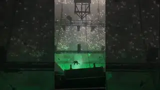 Wizkid's grand entry at his France show