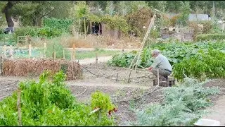 Miraflores Garden, a green lung awarded by the UN that is an example for the world