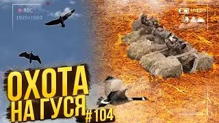 №104 Гусиный бублик или одиночки... Охота на гуся. Дрон - квадрокоптер и shotkam.