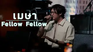 fellow fellow  - เมษา live