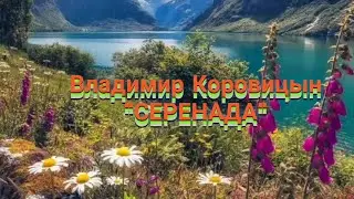 Владимир Коровицын 