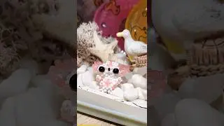 ушан из бисера амигуруми #бисер #амигуруми #beading #бисероплетение #beads #handmade #amigurumi