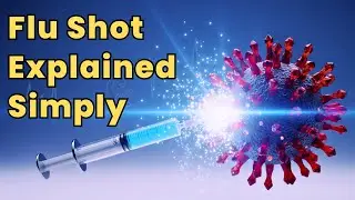 The Flu Vaccine Explained: How It Works and Why You Need It