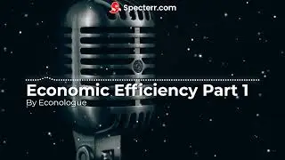 Economic Efficiency Part 1