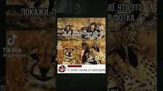 Удали😂 