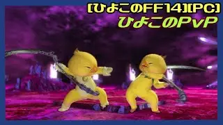 [第221回][実況動画] フロントライン3戦 オンサル、氷 待機カット [黄金7.0][ひよこのFF14][PC]