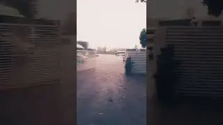 cats and dogs raining in Multan