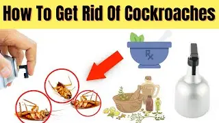 How To Get Rid Of Cockroaches / Cockroaches killing natural way / Cockroaches repellent remedies